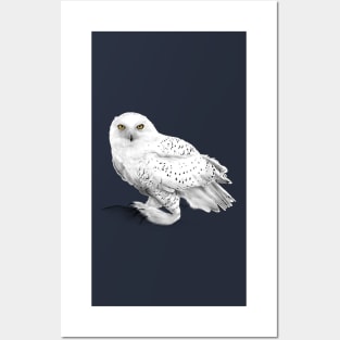 Snowy Owl Posters and Art